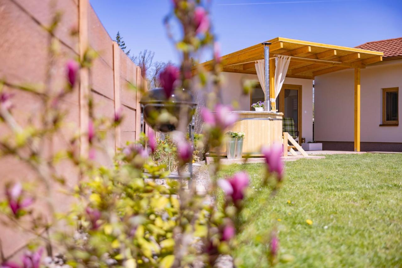 Tera U Zamku Cervena Lhota Holiday home *